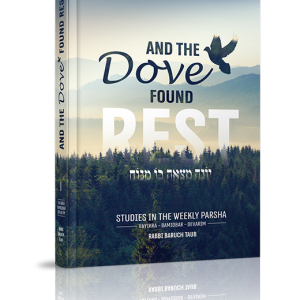 כריכות למינציה