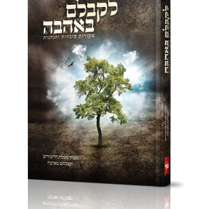 כריכות למינציה