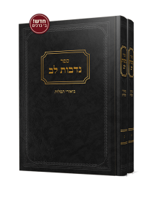 נדבות לב הרב מאיר אריה רייז שליט"א